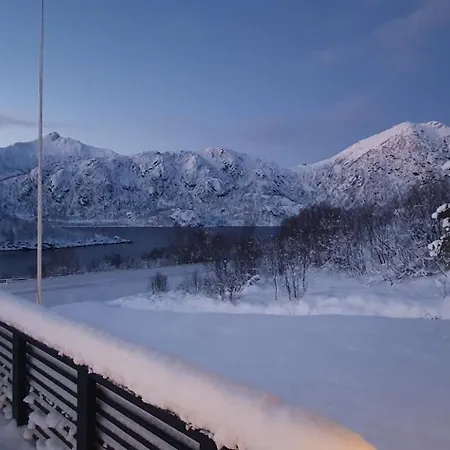 Daire Julia Myre (Nordland)