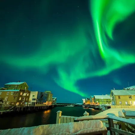 Julia * Myre (Nordland)